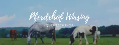 Vorndran Western Horses