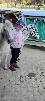 Reittherapie Anai Stötzel