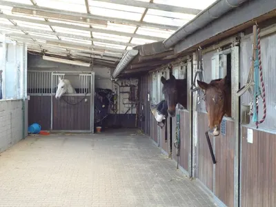 Reitanlage Stollenhof