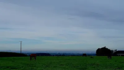 Reitstall Tiedmann