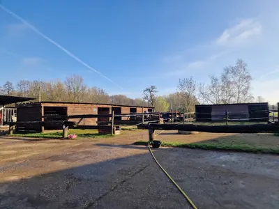 Royal Horses Reitanlage Hamsfeld 23