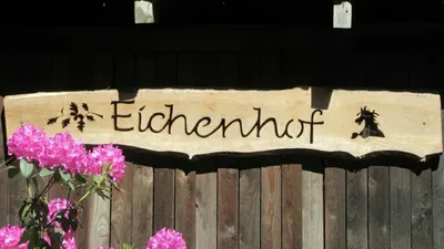 Reithof aktiv Pferd und Mensch