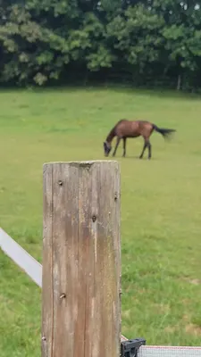 Reitanlage Bucher
