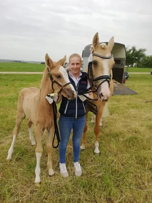 Anna Sporkert Ponysport