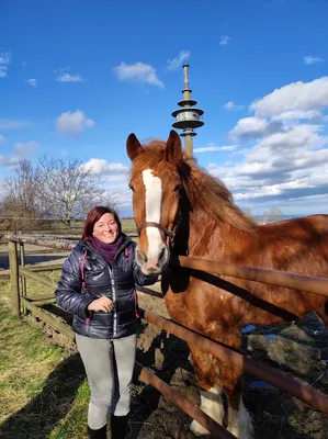 Reitanlage-Menniken, Moderne Reitanlage im Kreis Düren, Hürtgenwald-Großhau, Paddockboxen