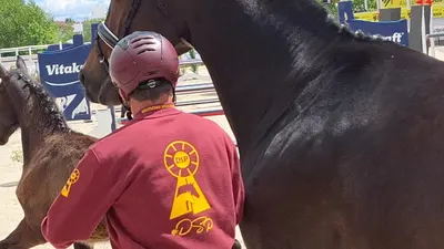 Witzemann Horses