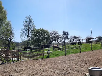Reiterhof_Burmeister
