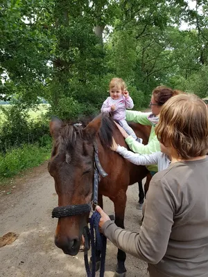 Pferderella Horsemanship e.V.