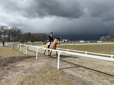 Rhinland Reitpark GmbH