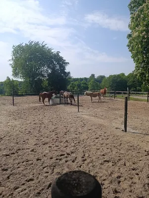 Reitstall Vandreuke