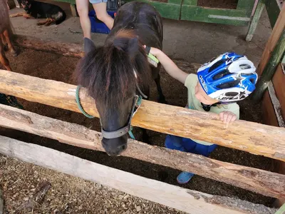 Hof Gut Knecht / Pferdepension / Reitstall