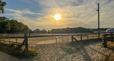 Pferdepension Hörnemann-Elsing GbR