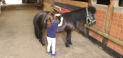 Ponyhof Schrollerhausen