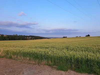 Ferienhof Rose