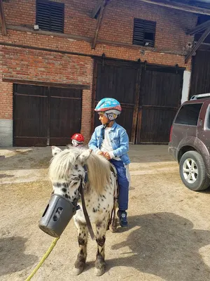 Susannes Ponyranch