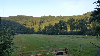 Open Ranch