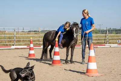Reitsportcentrum Wendelstein