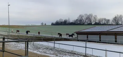 Pferdehof-Schlossblick