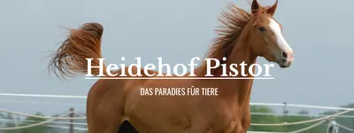 Heidehof Pistor