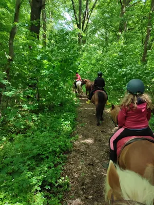 Kiefernberg Ranch