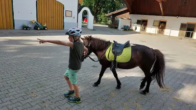 Reiten in Siferling