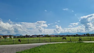 Pony-Hof St. Peter