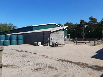 Gestüt vom Geestrand