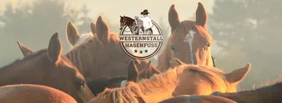 Westernstall-Hasenfuss