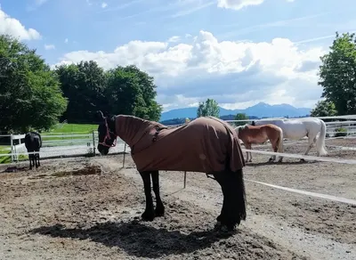 Stocka Reiterhof