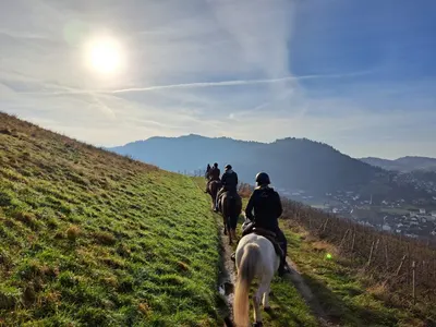 Simmehof - Wanderreitstation, Reitschule und Therapiereiten. Für Kinder, Jugendliche und Erwachsene.