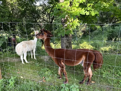 Penny Well Ranch