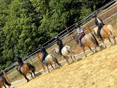 Reitverein Eigentshofen