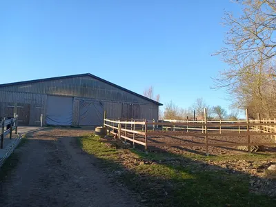 Pferdehof-Langbehn