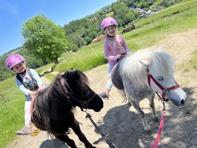 Pferdezucht & Reitanlage Groß