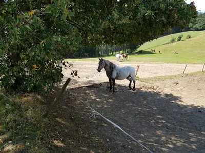 Reitstall Hägenhof