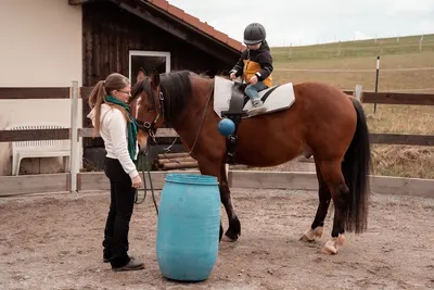 Marry's Little America Stables & Horsetraining, Laura Schmelzle