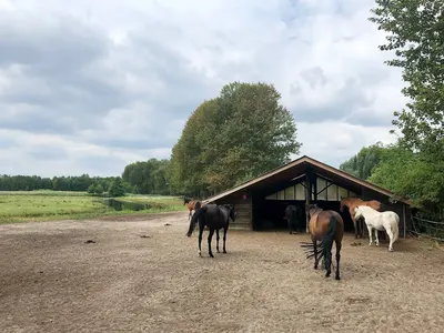 Reitanlage Pappelhof