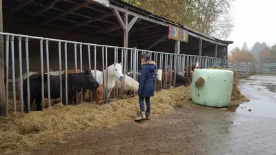 Reitstall Kruse