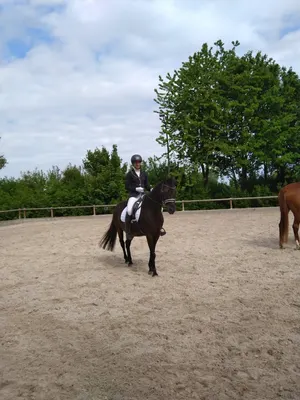 Claudia Haller, Reitanlage Gut Müllershof