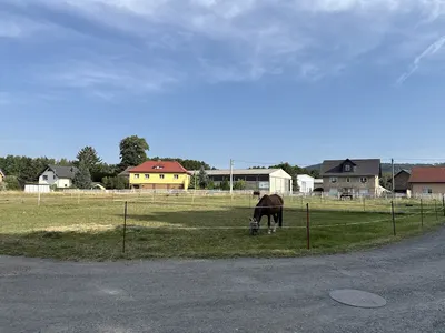 Landwirtschaftlicher Zucht- und Pensionsbetrieb Korn