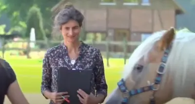 IP-Horsepower Immo Peltzer