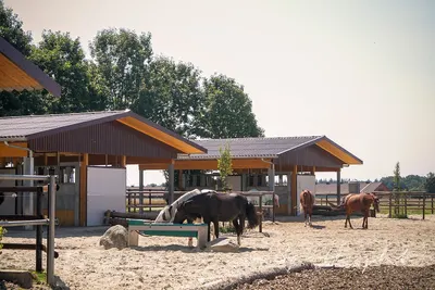 Brüning Hof Pensions- und Reitstall
