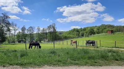 Reitstall Wattenbach