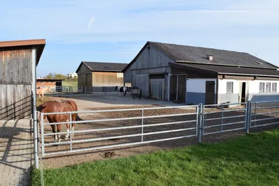 Douglasienhof 🐴