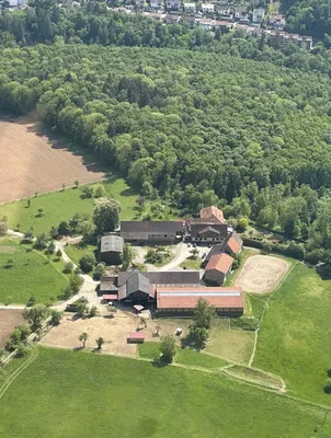 Aktivstall Knopfhof - Pferde Reitstall Reitschule Pferdepension Offenstall