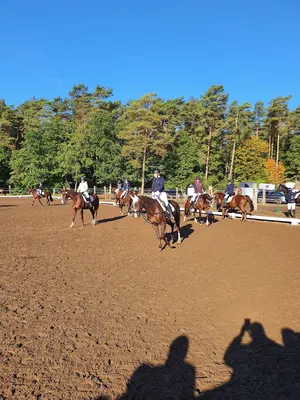 Reitanlage Elisenau - Pferdepension