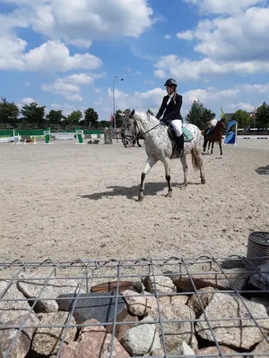 Reitanlage Ralf Pagel
