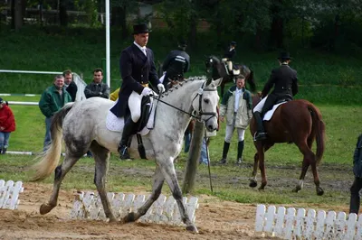 Reitanlage Lichtenau