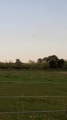 Pferdehof Sonnenhalde
