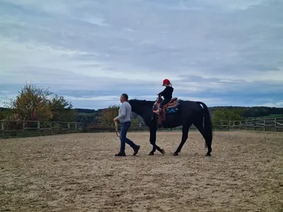 REITANLAGE AM WALDECK